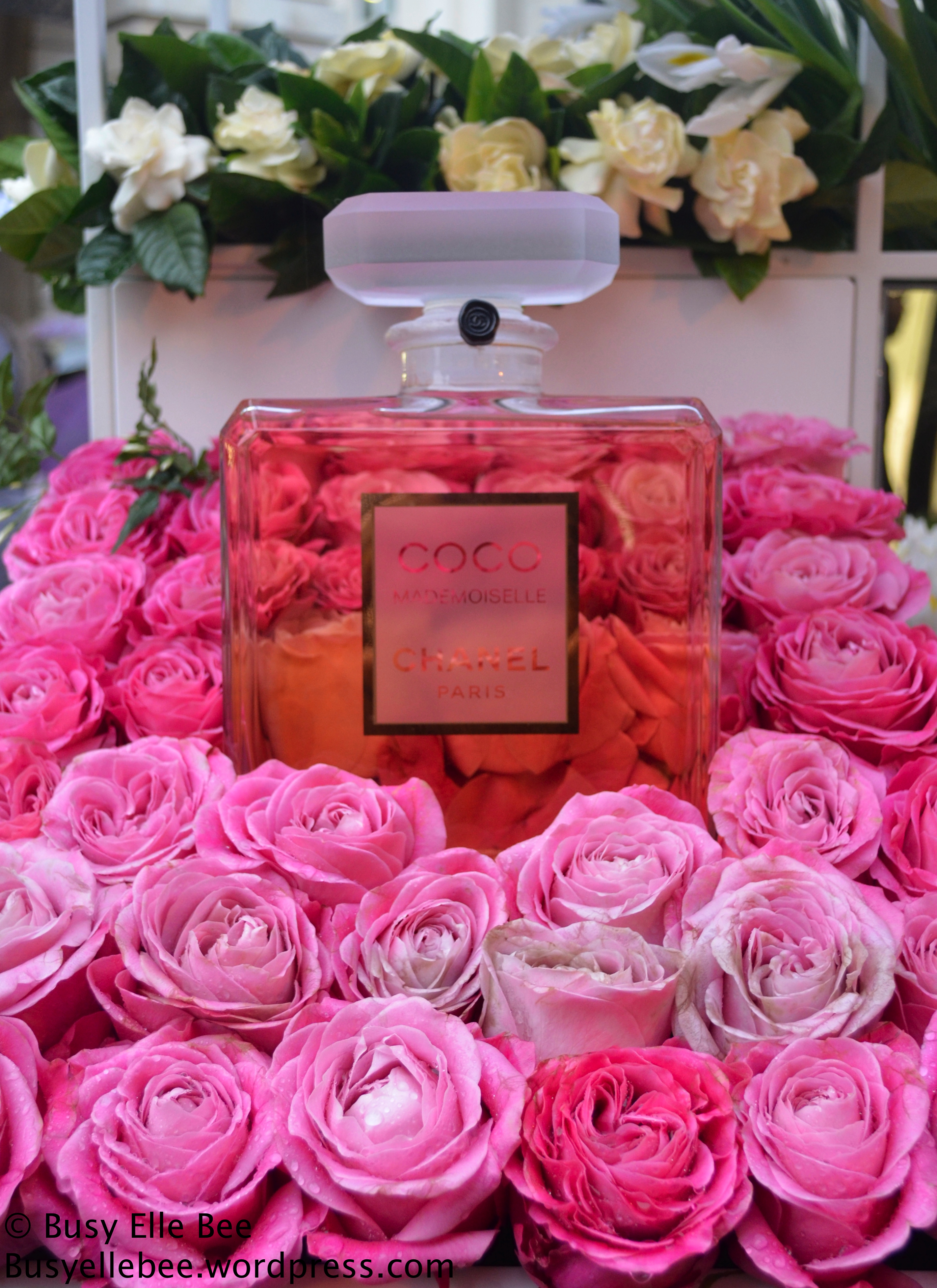 Press gurvitz parfumerie. Chanel Parfum Rose. Духи Шанель Камелия.
